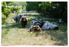 Laurent SERGEANT - Drone inspir