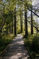 Vincent KLARES - KLARES VINCENT