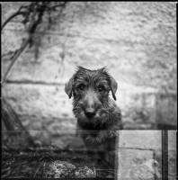 Jean-Baptiste PETER - JIB PETER PHOTOGRAPHE