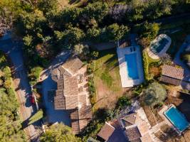 Florence ALZONDA - FLORENCE ALZONDA